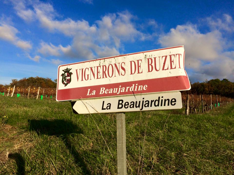 La Beaujardine is surrounded by vineyards